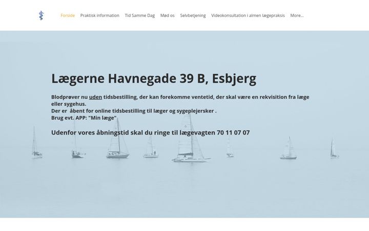 Screenshot of havnegade39b.dk