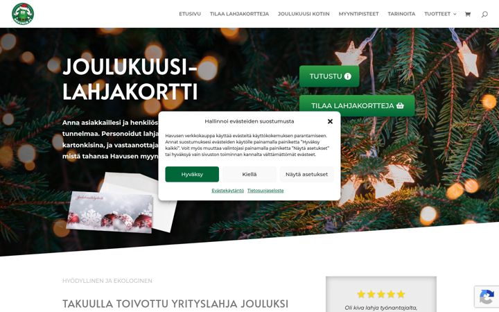 Screenshot of havunen.fi