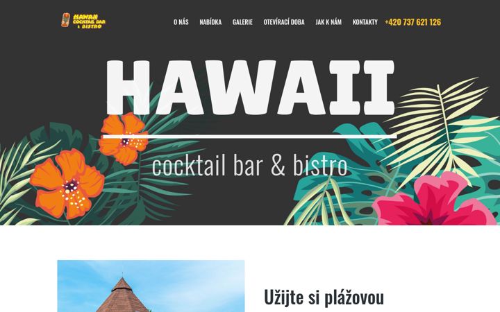 Screenshot of hawaiibar.cz
