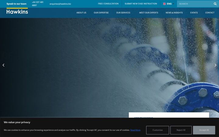 Screenshot of hawkins.biz