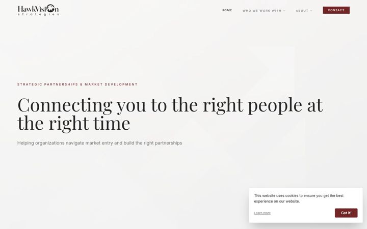 Screenshot of hawkvisionstrategies.com