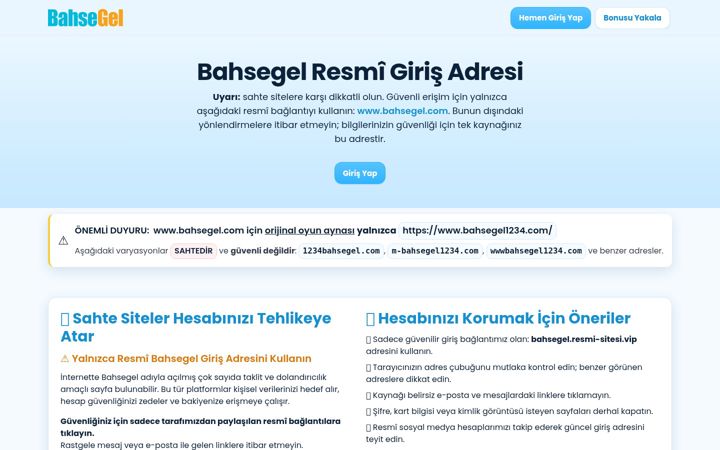 Screenshot of hayakku.com