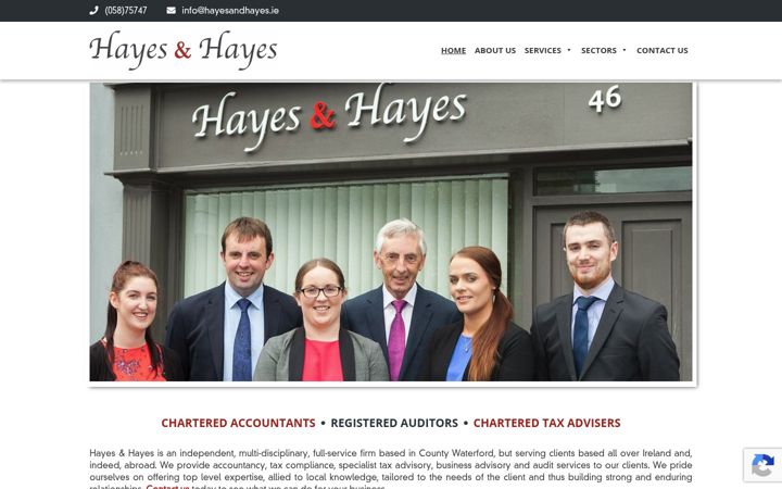 Screenshot of hayesandhayes.ie