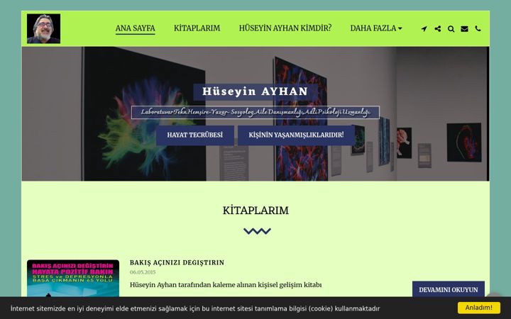 Screenshot of hayhan5034.com