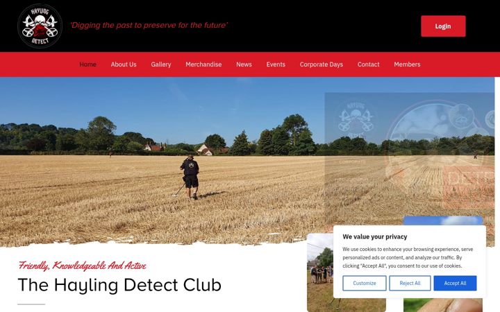 Screenshot of haylingdetect.co.uk