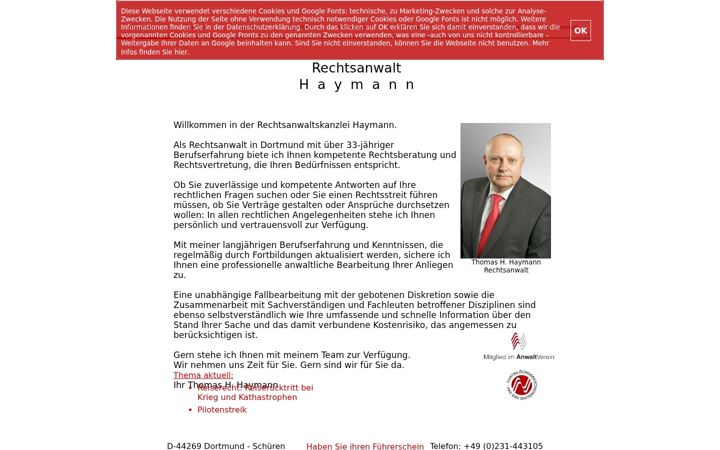 Screenshot of haymann.com