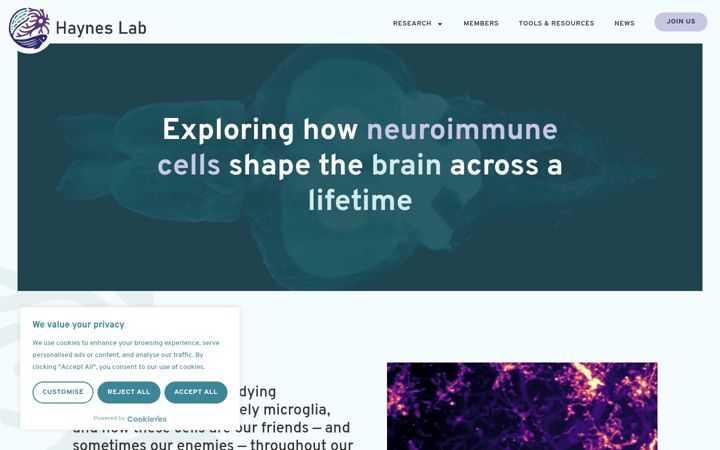Screenshot of hayneslab.org