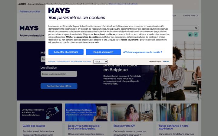 Screenshot of hays.be