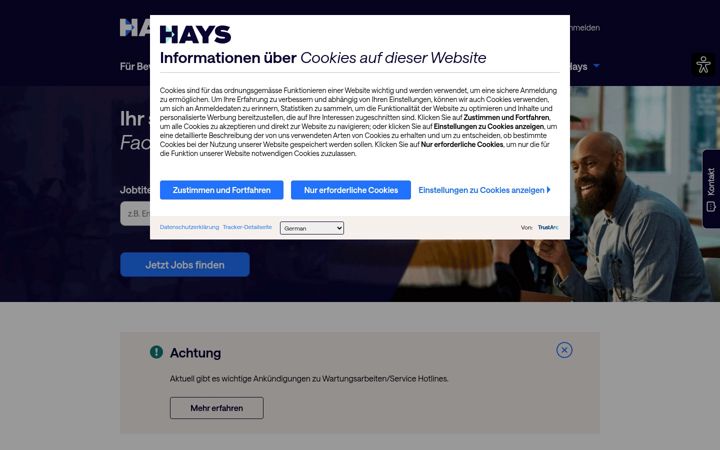 Screenshot of hays.ch