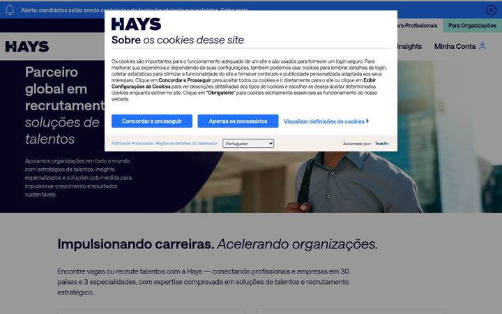 Screenshot of hays.com.br