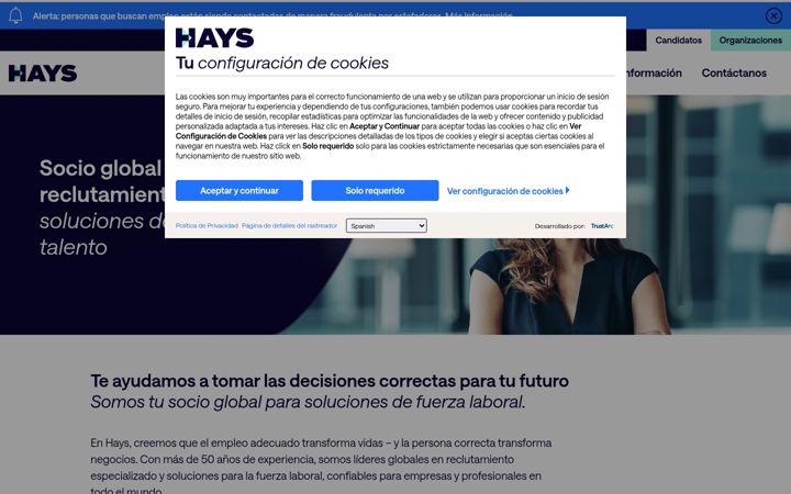 Screenshot of hays.com.mx