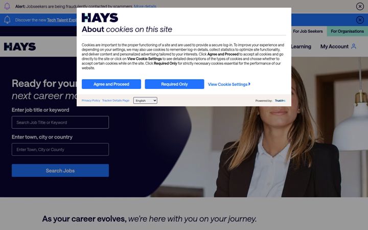 Screenshot of hays.ie