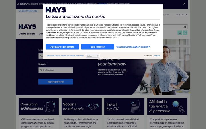 Screenshot of hays.it