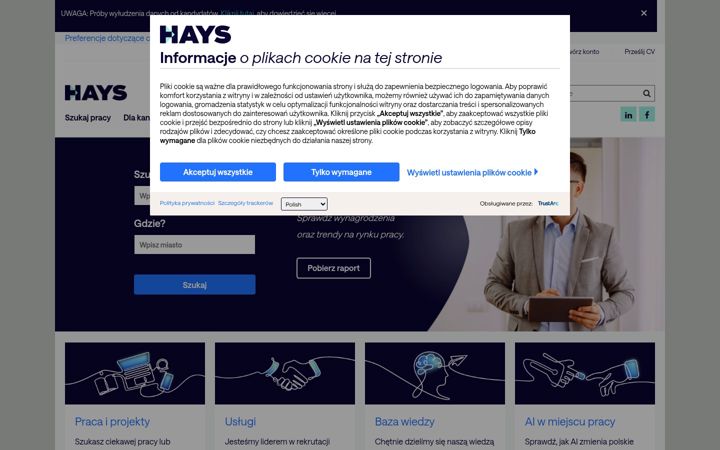 Screenshot of hays.pl