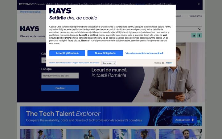 Screenshot of hays.ro