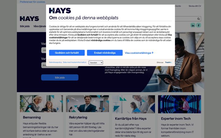 Screenshot of hays.se