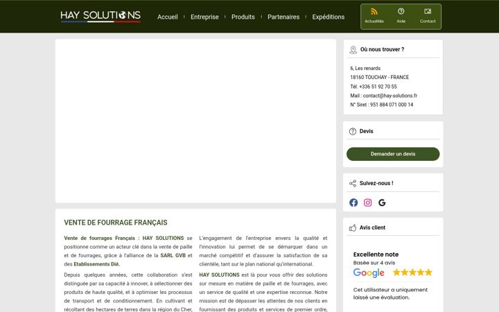 Screenshot von haysolutionsfrance.com