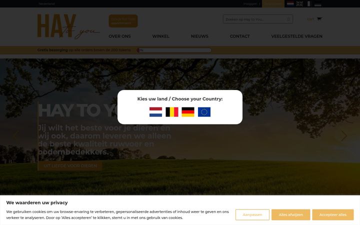 Screenshot of haytoyou.nl