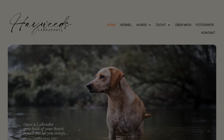 Screenshot of hayweeds.de