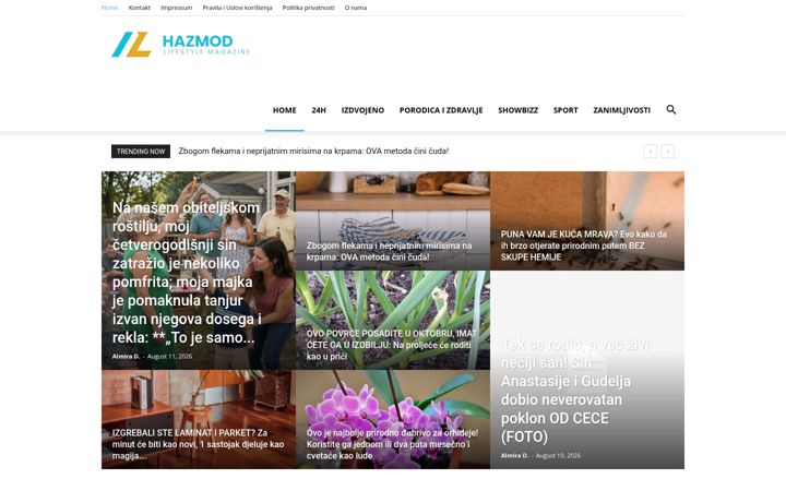 Screenshot of hazmod.com
