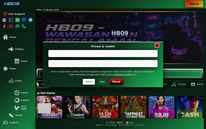 Screenshot of hb09.org