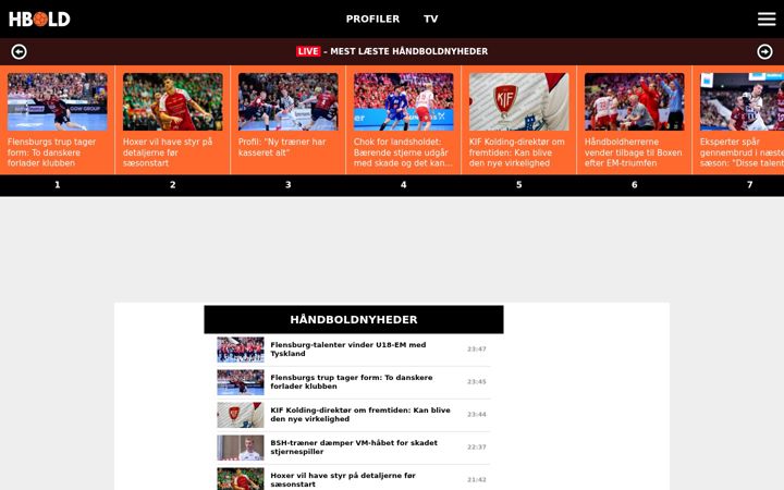 Screenshot of hbold.dk