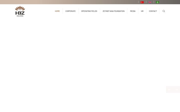 Screenshot of hbzholding.com.tr