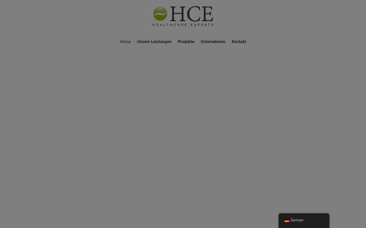 Screenshot of hc-experts.com