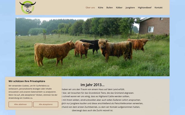 Screenshot of hc-schelk.de