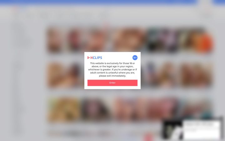 Skærmbillede af hclips.com