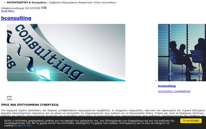 Screenshot of hconsulting.gr