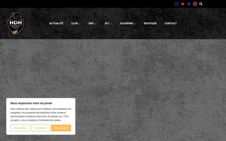 Screenshot of hdhhandball.fr