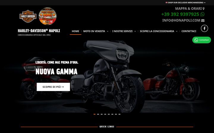 Screenshot of hdnapoli.com