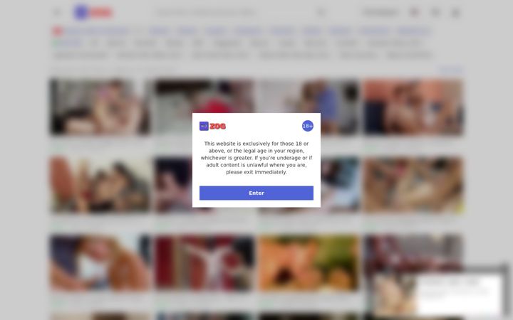 Zrzut ekranu hdzog.com