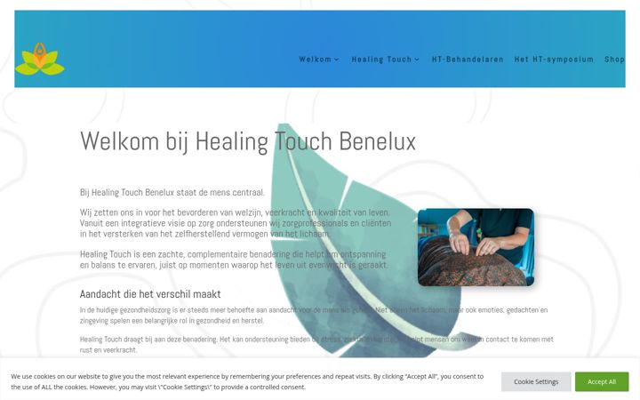 Screenshot of healingtouchbenelux.com