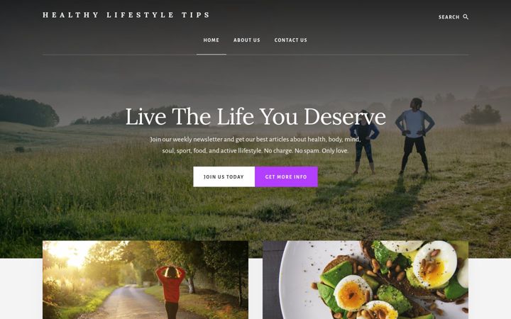 Screenshot of healthy-lifestyle-tips.org