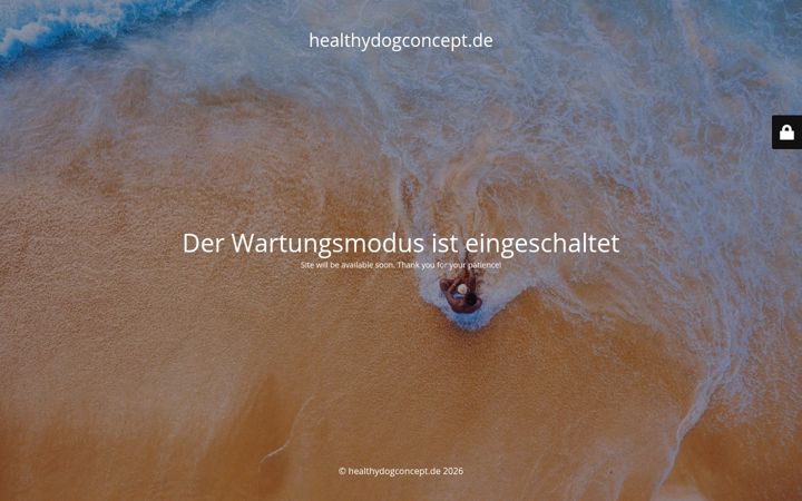 Snímek obrazovky healthydogconcept.de