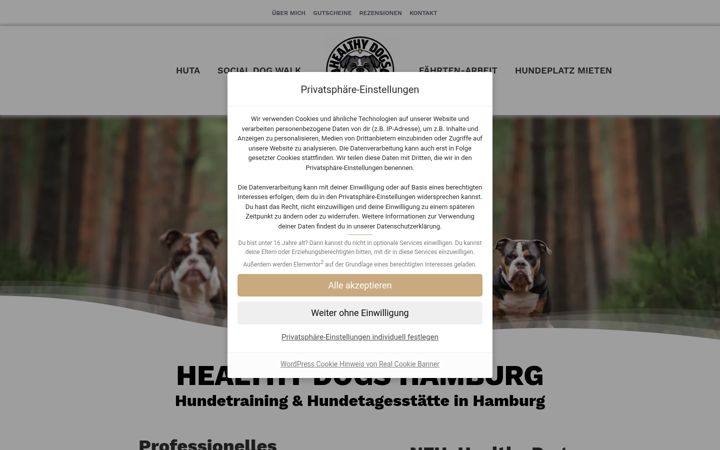Snímek obrazovky healthydogs-hamburg.de