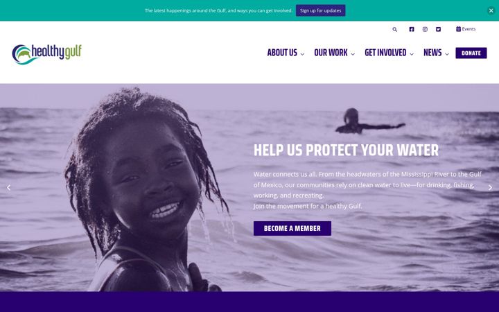 Screenshot of healthygulf.org
