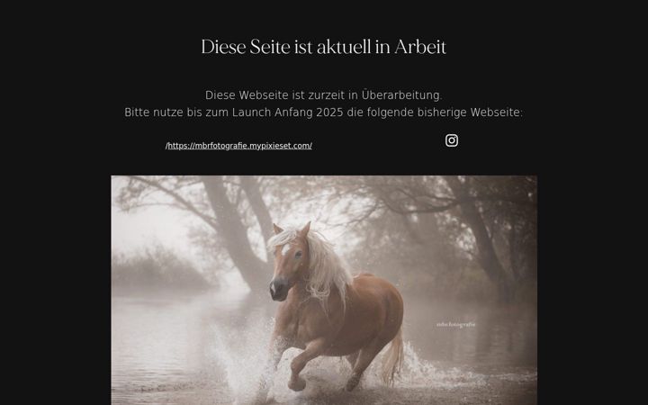 Screenshot of heartofhoofbeats.de