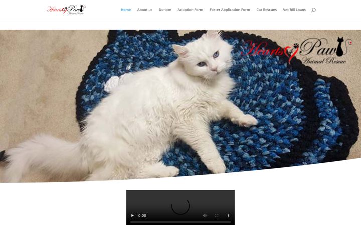 Screenshot of hearts4pawsrescue.org