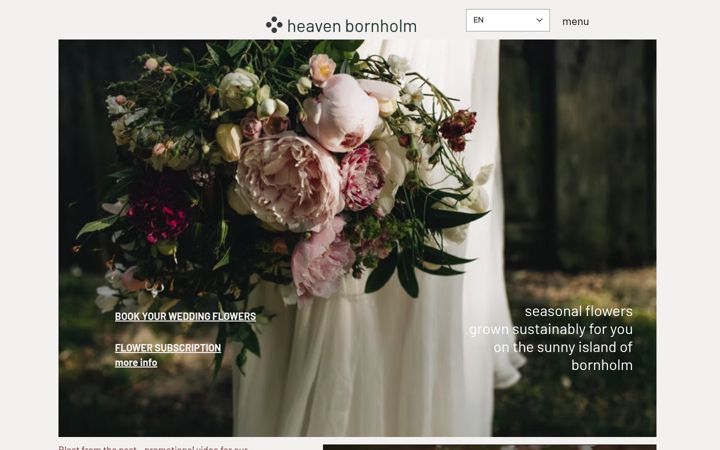 Screenshot of heavenbornholm.dk