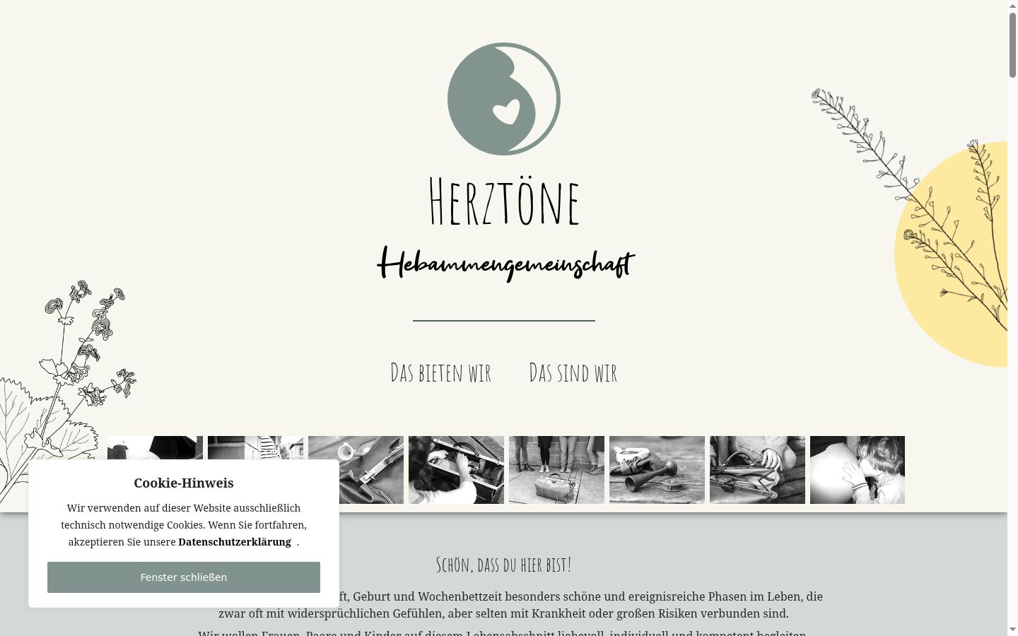 Sutikimo reklamjuostės, rodytos prieš bet kokią sąveiką, ekrano kopija