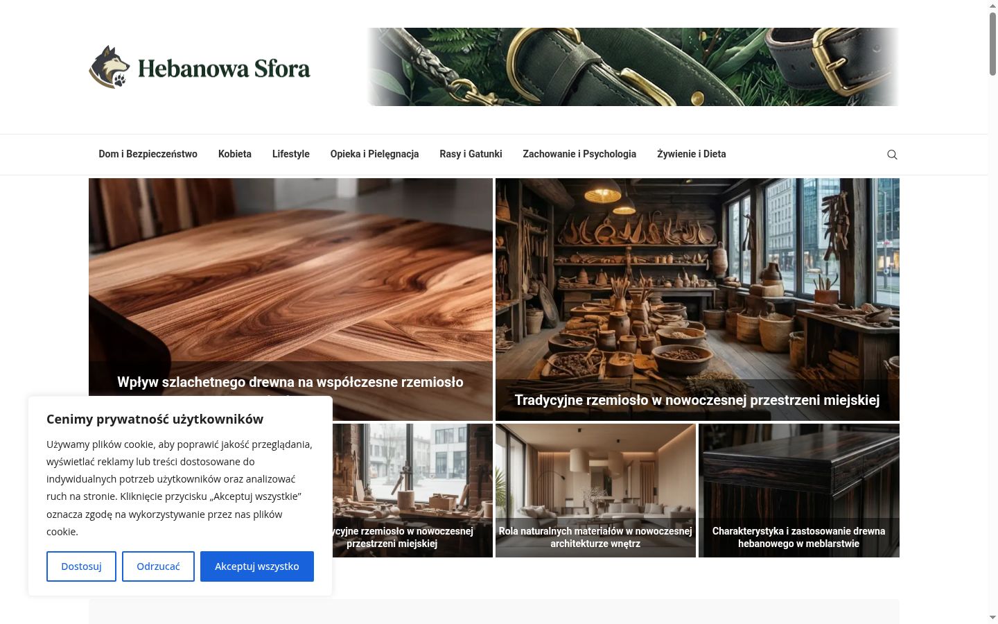 Sutikimo reklamjuostės, rodytos prieš bet kokią sąveiką, ekrano kopija