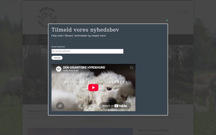 Screenshot of hedelam.dk