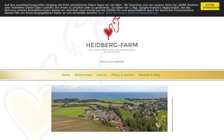 Screenshot of heidberg-farm.de