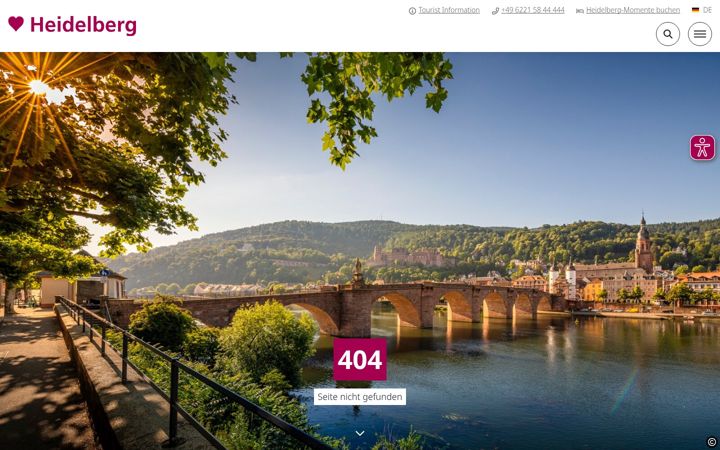 Screenshot of heidelberg-marketing.fr