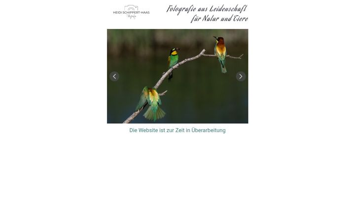 Screenshot of heidi-schippert.ch