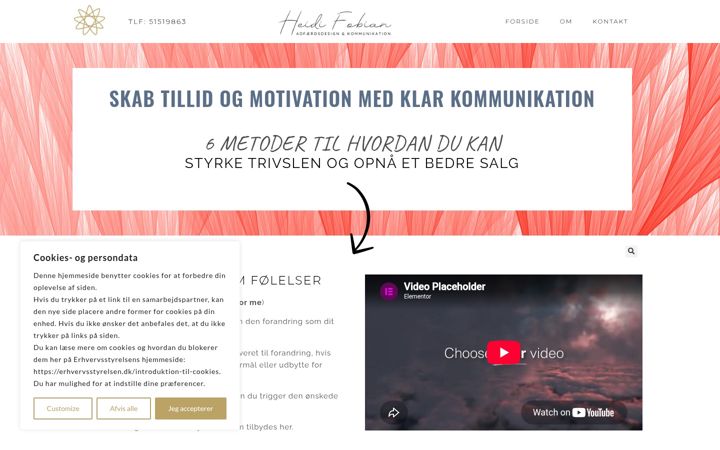 Screenshot of heidifobian.com
