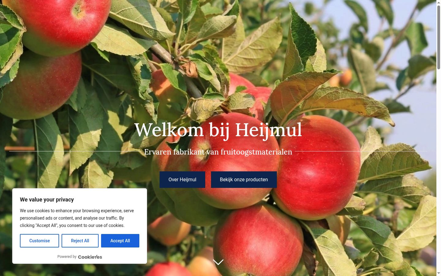 Sutikimo reklamjuostės, rodytos prieš bet kokią sąveiką, ekrano kopija